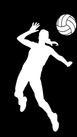 Volleyball Window Decal - Hitter