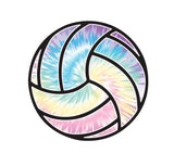 Volleyball Magnets